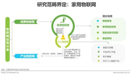 2020年中国家用物联网行业研究报告 物联网技术服务