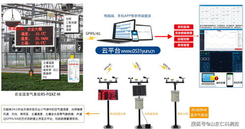 智慧田园 物联网与传感器技术助力农业绿色发展